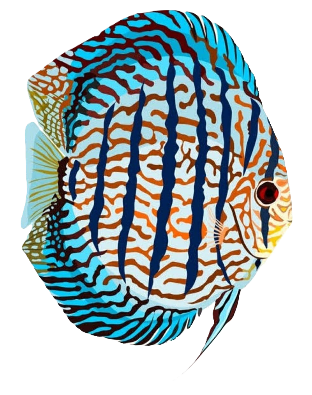 Nalanda Aquarium Logo