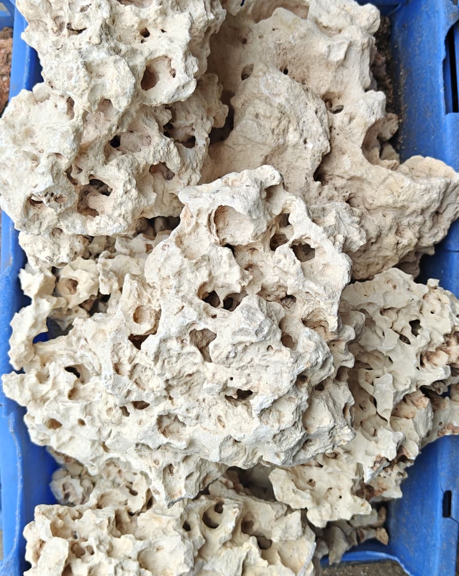 Stone 4