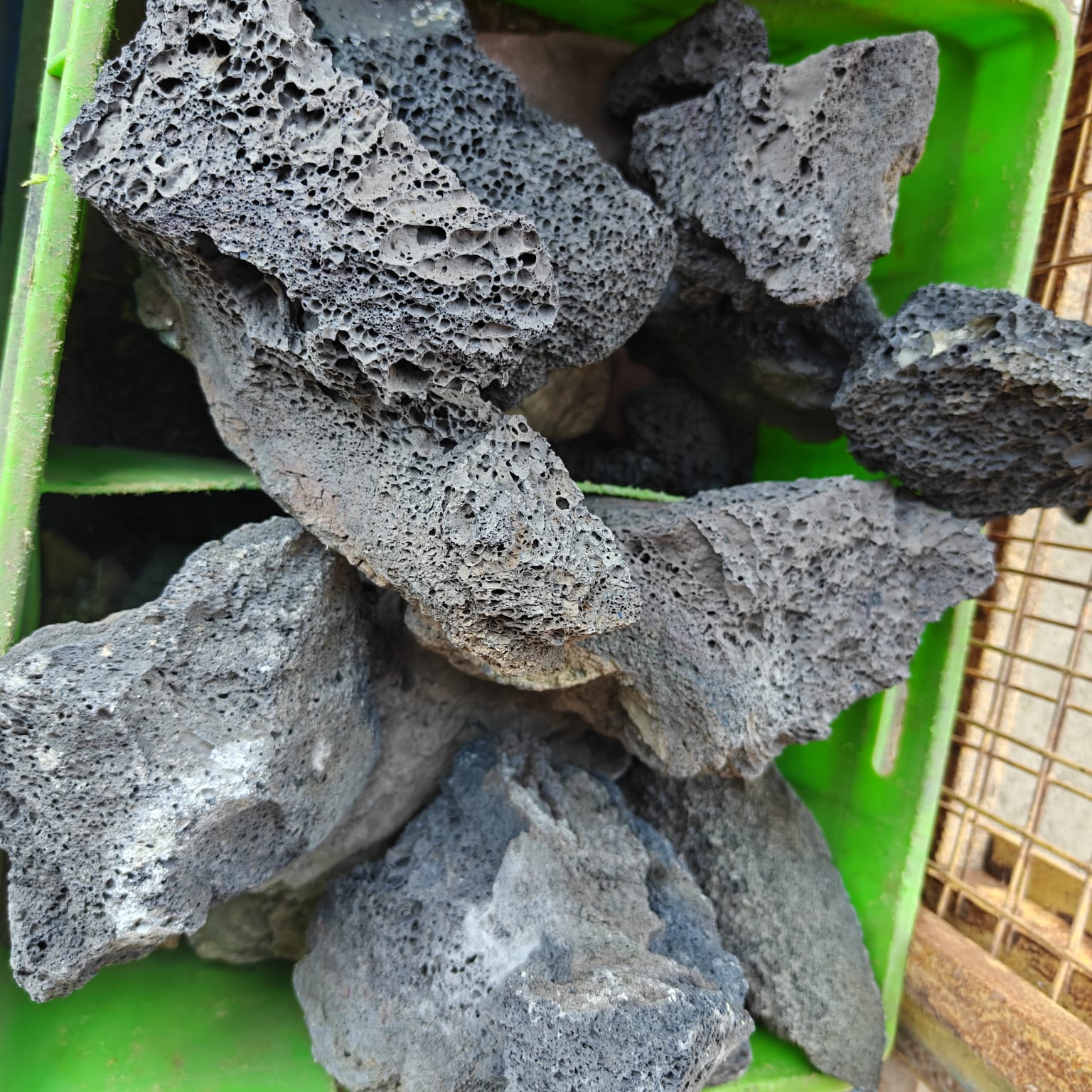 Stone 5