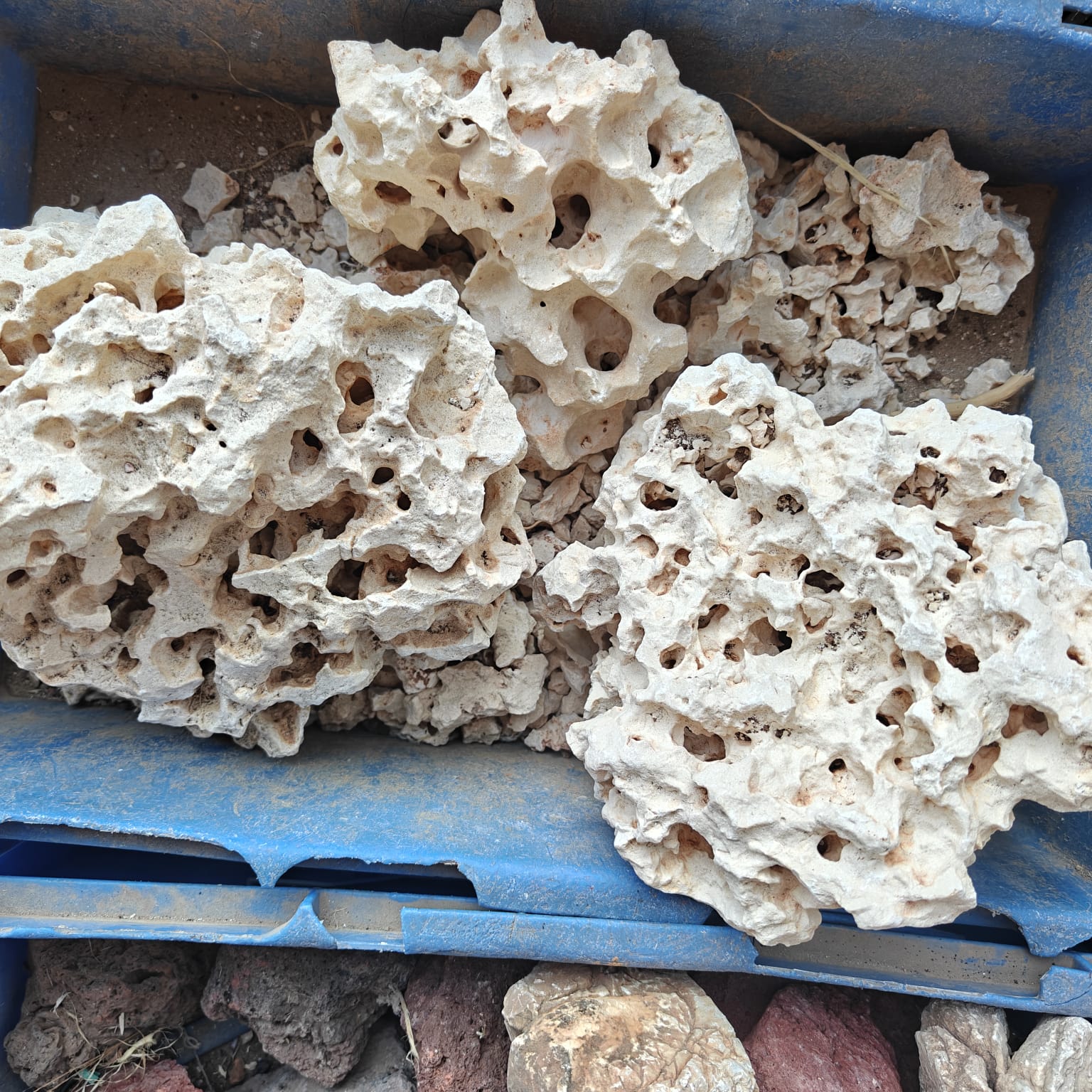 Stone 6