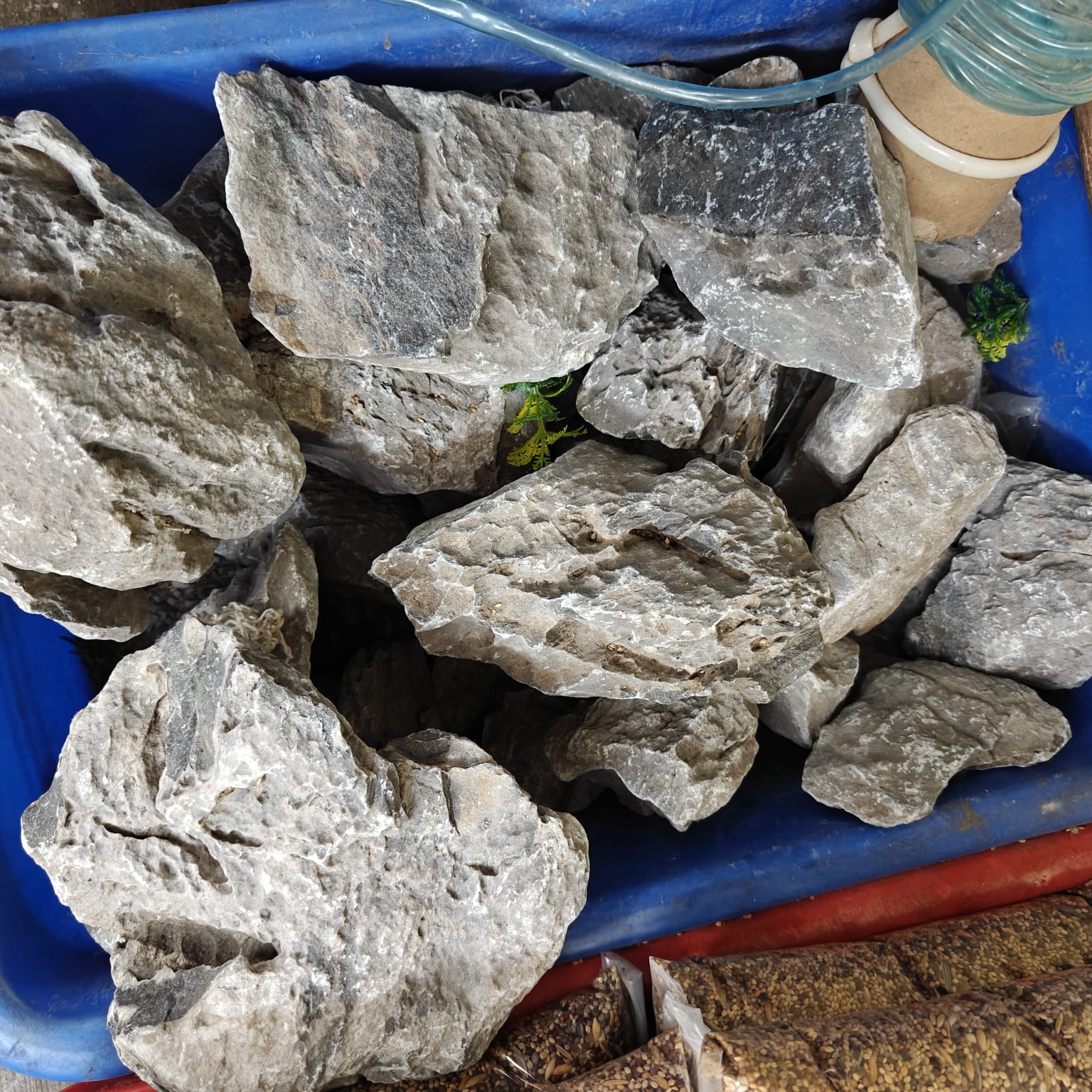Stone 7