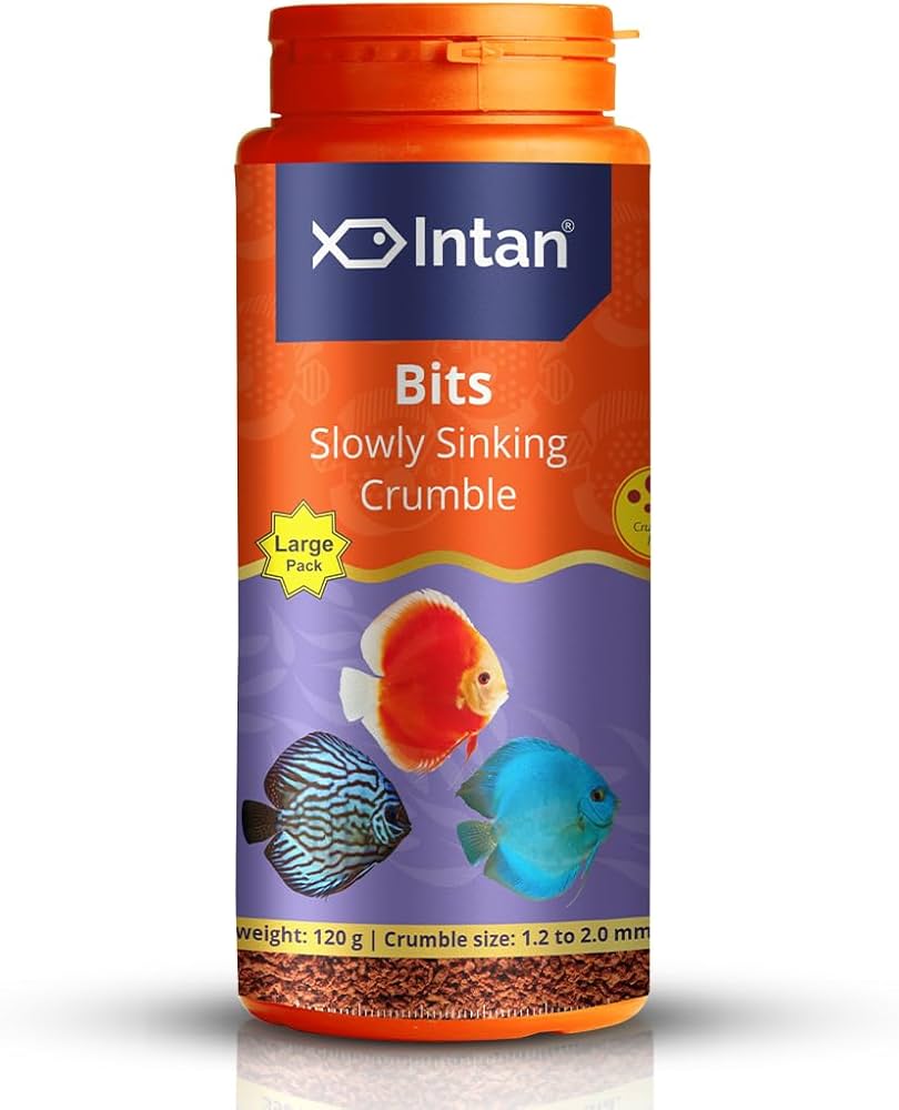 Intan Bits Slowly Sinking Crumble