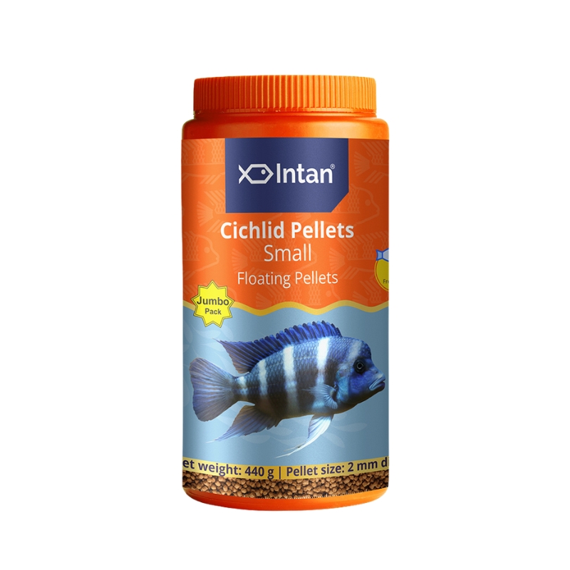 Intan Cichlid Pellets