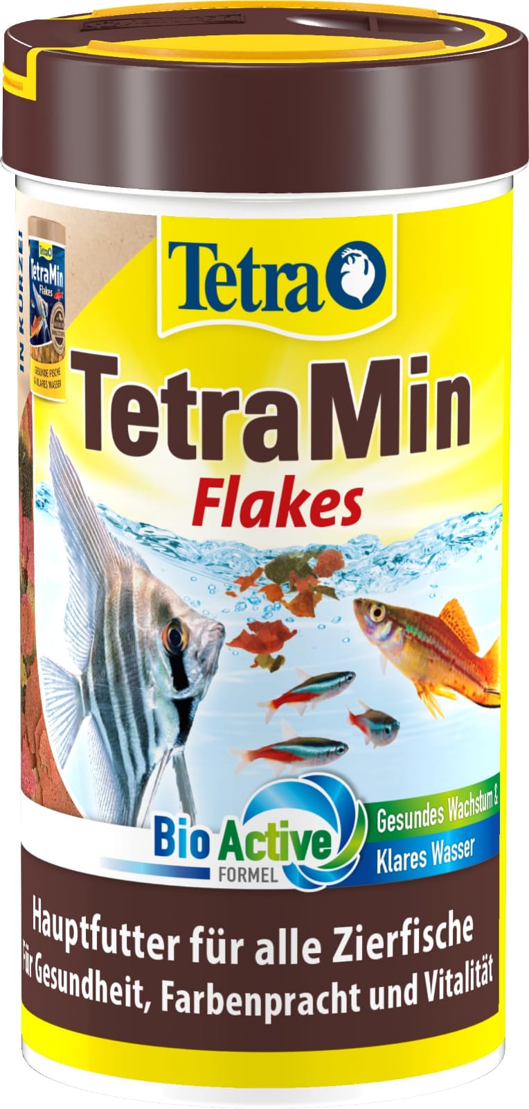 TetraMin Flakes 2