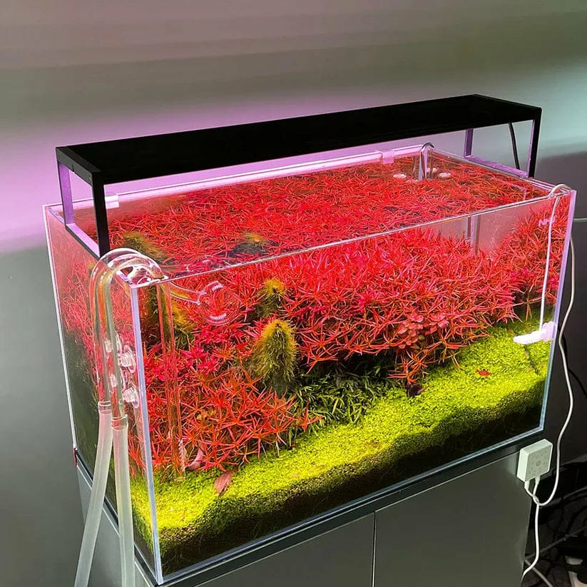 Chihiros LED light C361 1