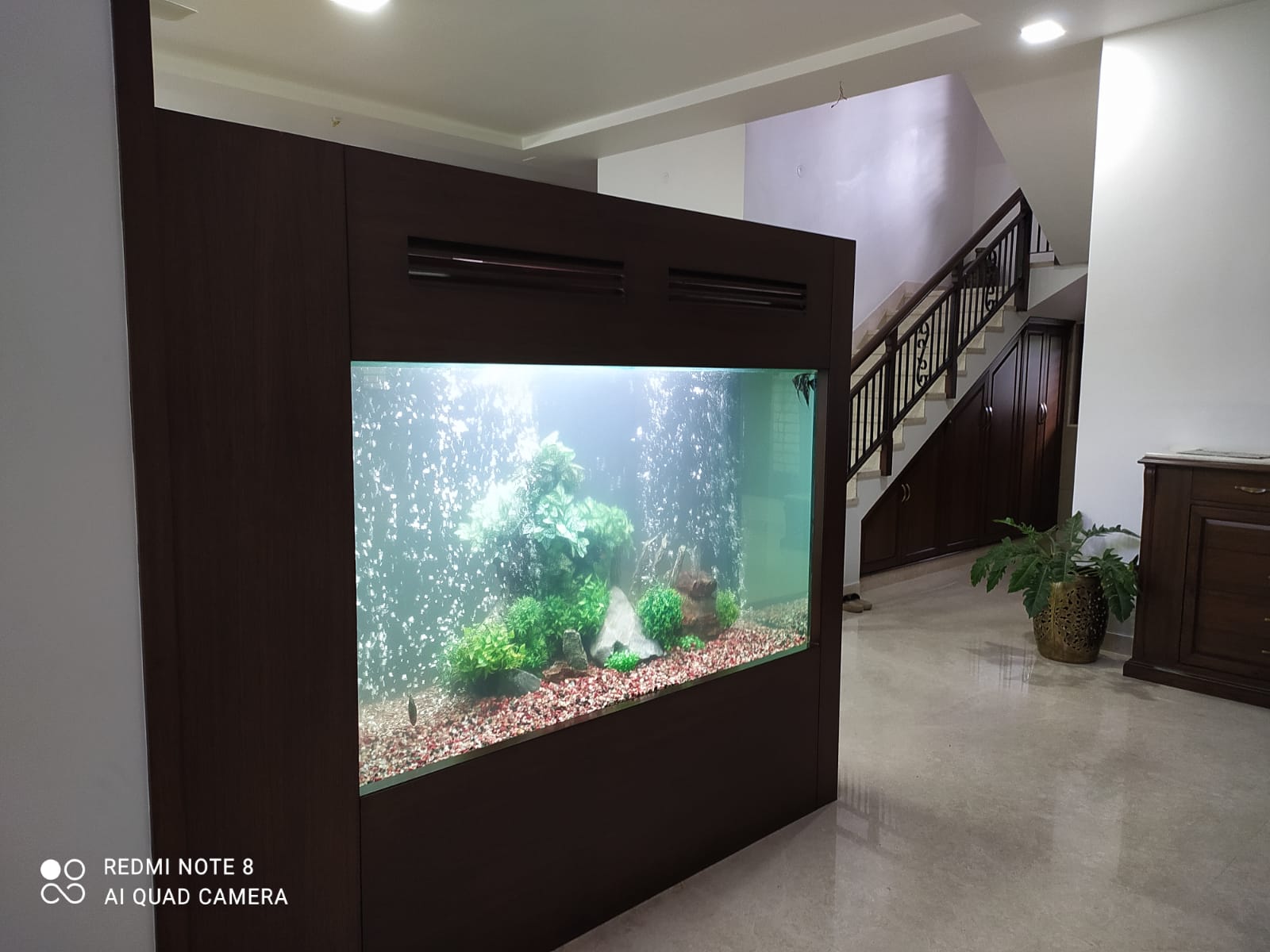 Custom aquarium installation