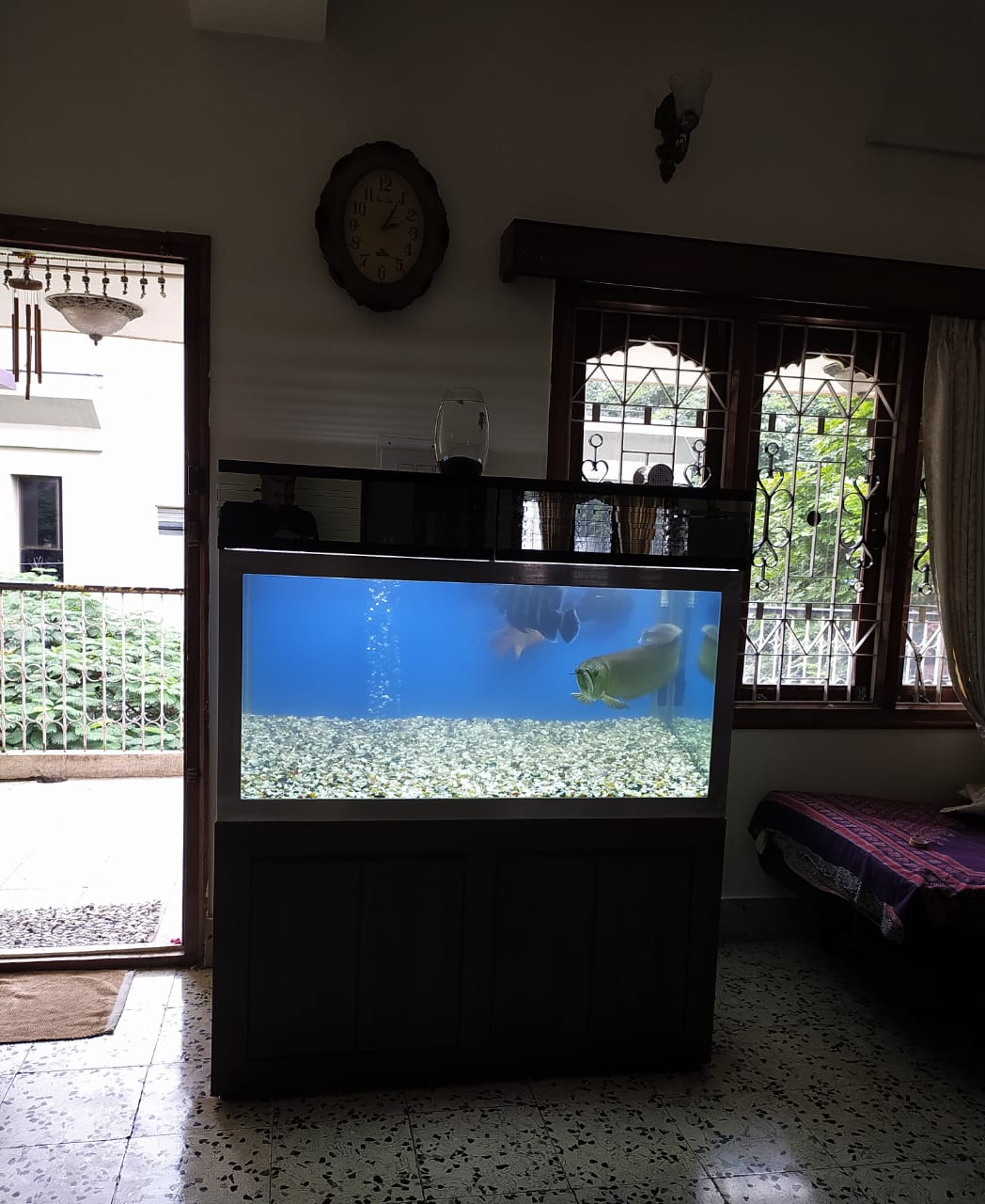 Large custom aquarium
