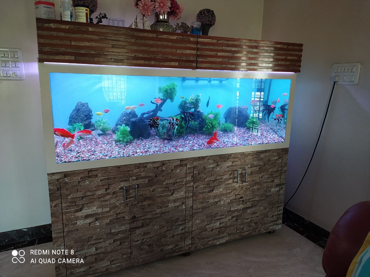 Large custom aquarium