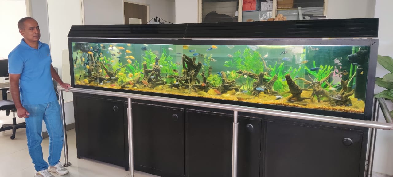 Manufactured year 2007.Hara Housing & Land Developers Company Pvt. Ltd.