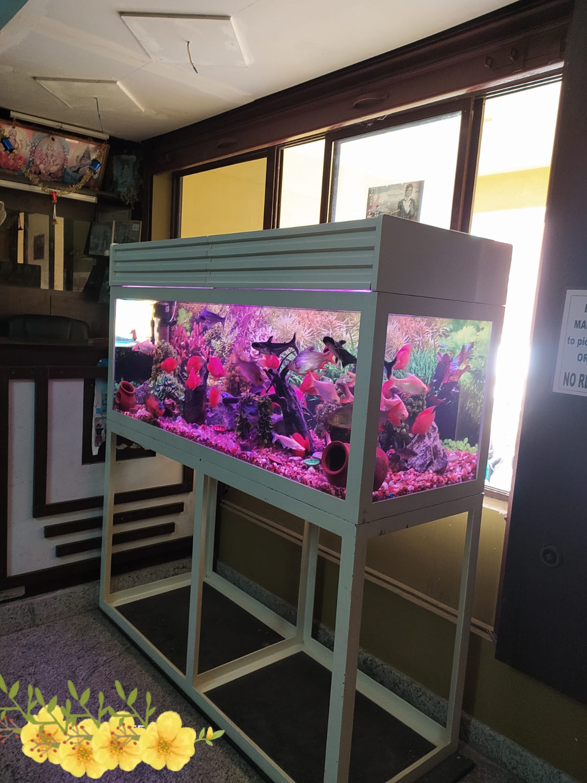 New custom aquarium detail 1