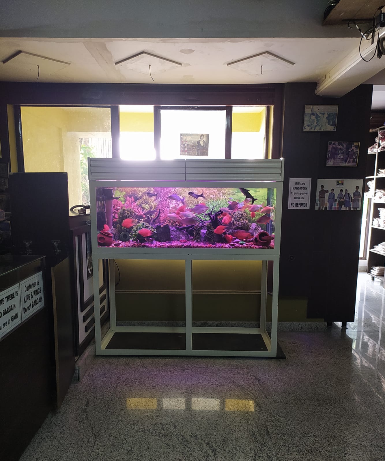 New custom aquarium detail 2