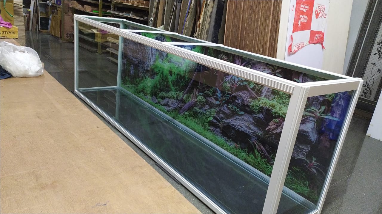 Large custom aquarium