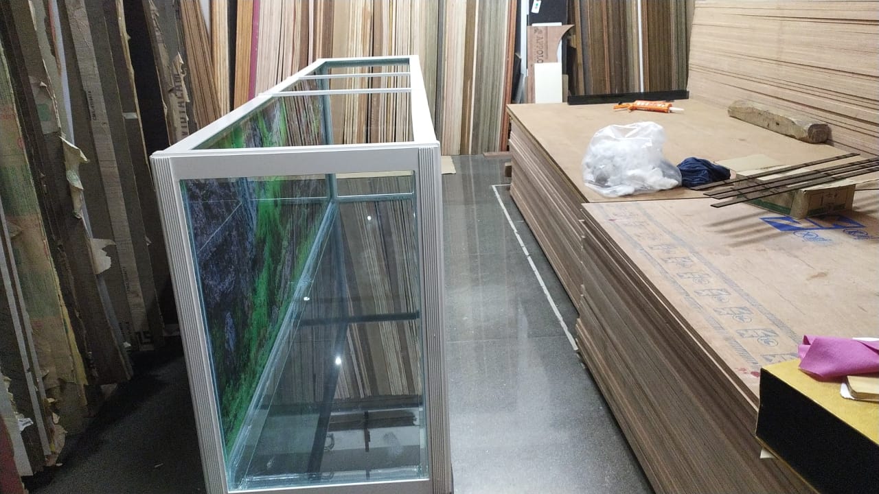 Large custom aquarium