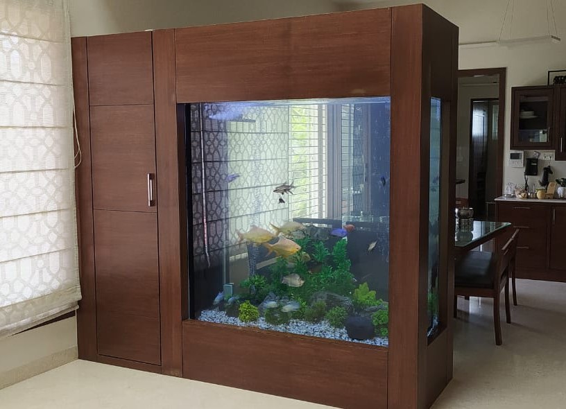 Large custom aquarium