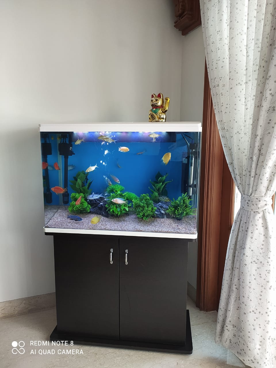 Imported aquarium