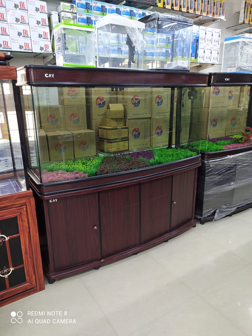 Imported aquarium