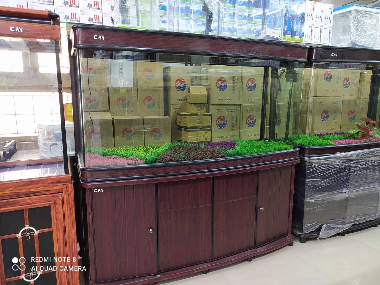 Imported aquarium