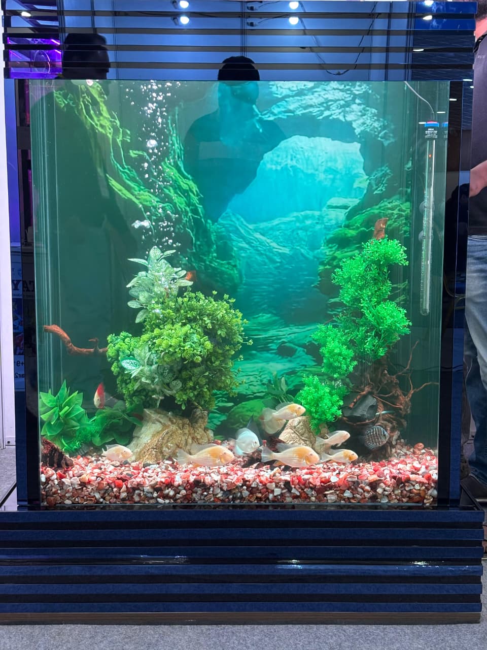 Pet Fair Bangalore 2026