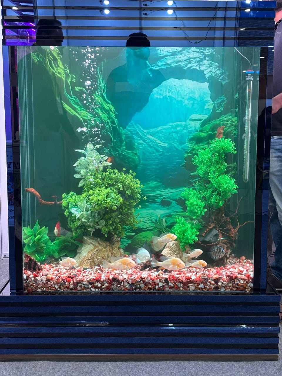 Pet Fair Bangalore 2026