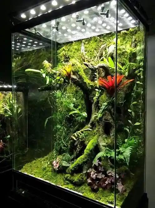 Terrarium